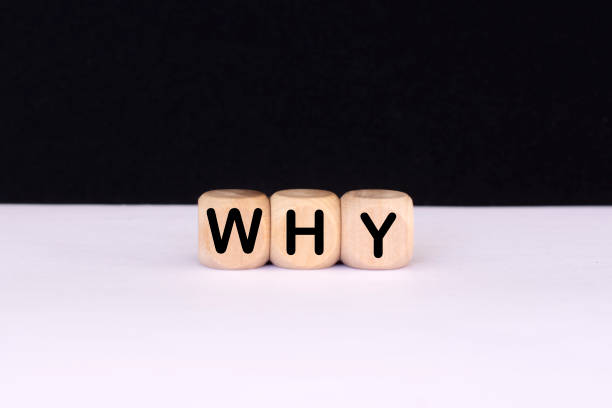 istock word why on a white black background. Business concept 1306046583
