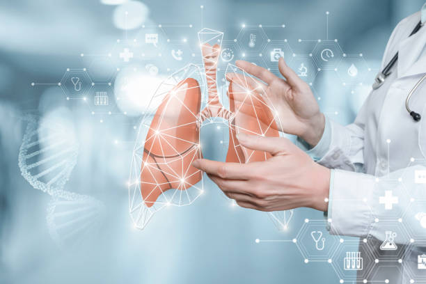 istock Concept of diagnostics, treatment and support for lung. 1306049286