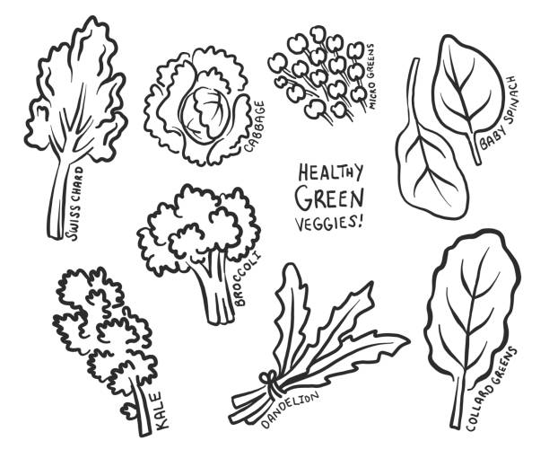 ilustrações de stock, clip art, desenhos animados e ícones de healthy green vegetables, seamless vector illustration - acelgas