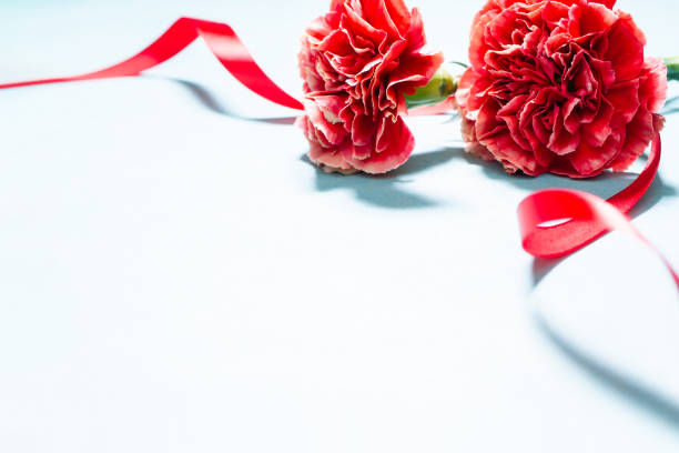 istock Mother's day carnation flowers 1306060646