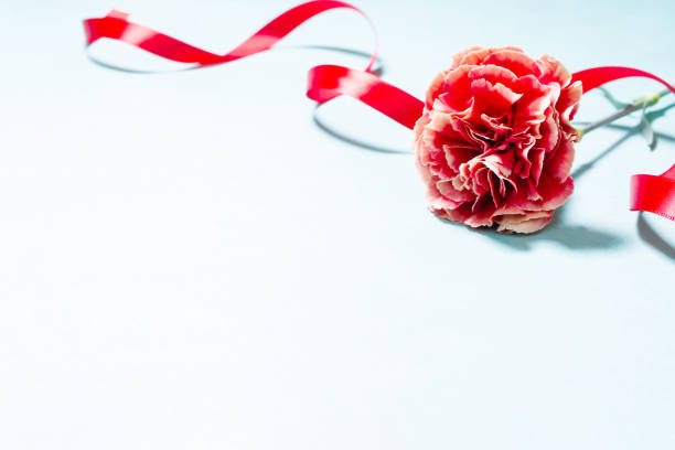 istock Mother's day carnation flowers 1306060658