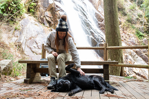 A Japanese woman sitting on a wooden bench by a waterfall and is playing with her Labrador who is lying on the deck.
