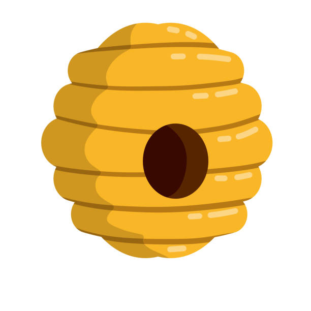 Hive. Yellow beehive. Honey production. Flat cartoon illustration isolated on white. Home of the wasp and insect. Element of nature and forests Hive. Yellow beehive. Home of the wasp and insect. Element of nature and forests. Honey production. Flat cartoon illustration isolated on white hornet swarm stock illustrations