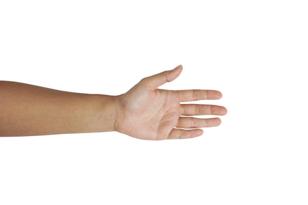 istock Female hand isolated on white background with clipping path 1306063821