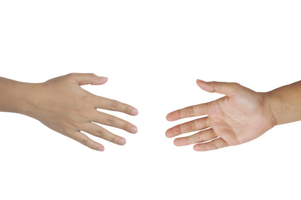 istock Female hands isolated on white background with clipping path 1306064493