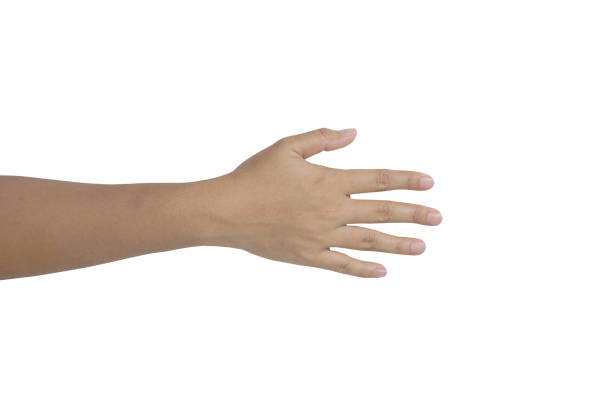 istock Female hand isolated on white background with clipping path 1306064497
