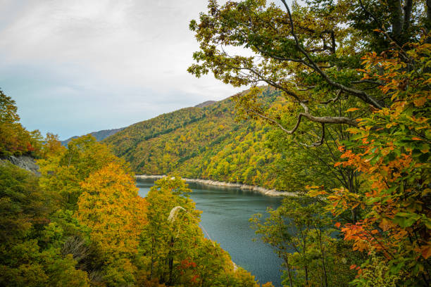 istock At Lake Akutadami with autumn color 1306067266