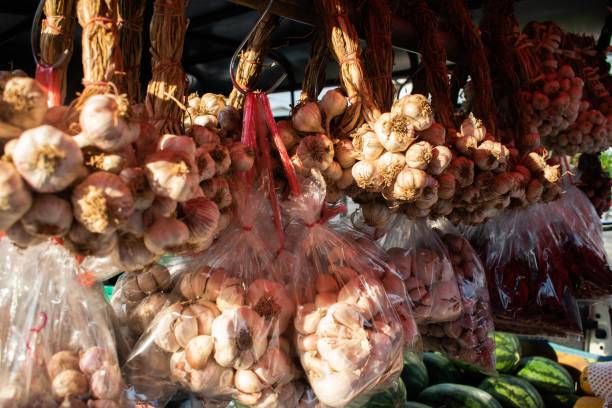 istock Garlic bushes are used for cooking. 1306069385