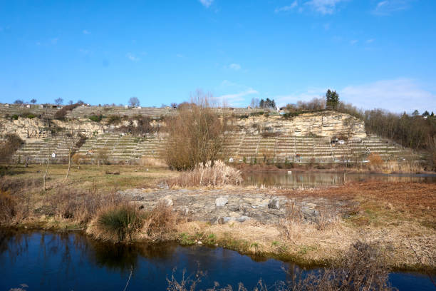 istock vineyards on the neckar river in germany 1306071674