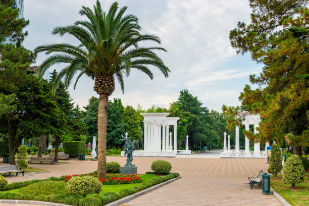 Trees and flowers in the park on the boulevard in Batumi. Trees and flowers in the park on the boulevard in Batumi. batumi stock pictures, royalty-free photos & images