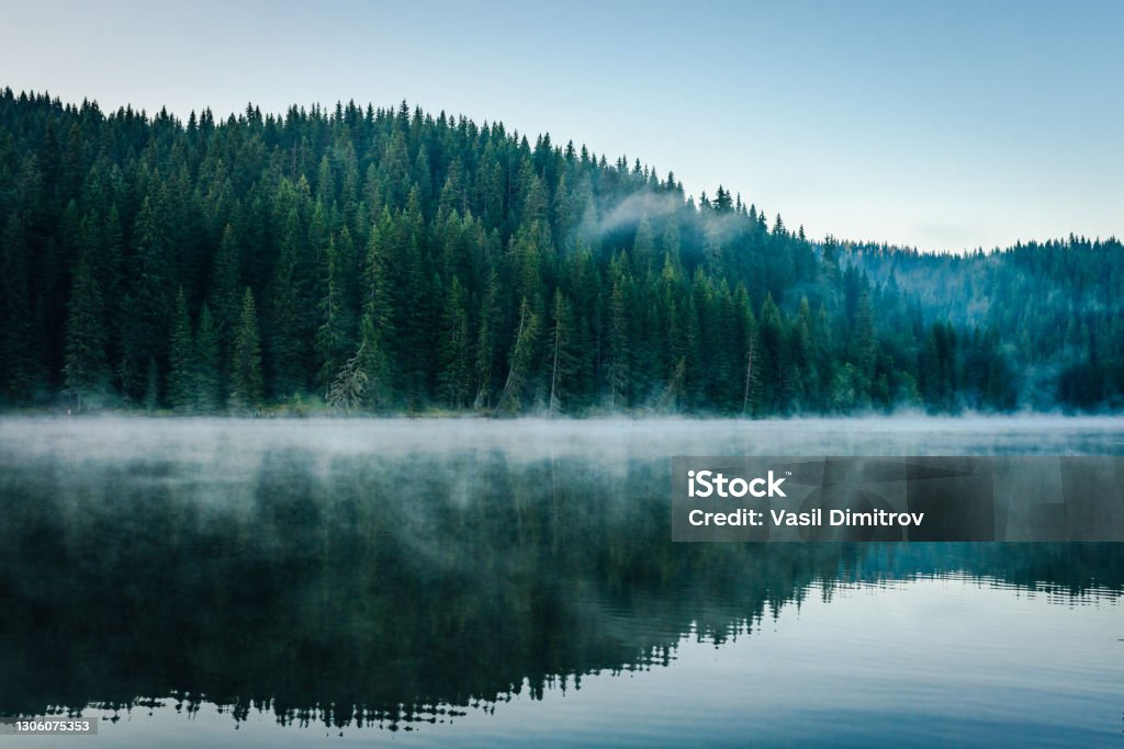 Morgennebel über einem schönen See umgeben von Pinienwald Stock Foto - Lizenzfrei Wald Stock-Foto