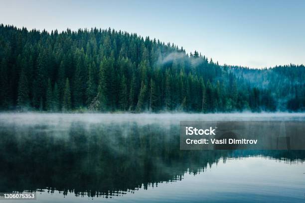 Morning Fog Over A Beautiful Lake Surrounded By Pine Forest Stock Photo Stock Photo - Download Image Now