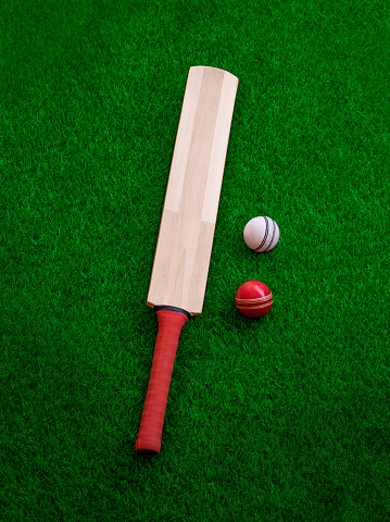 500+ Cricket Bat Pictures [HD] | Download Free Images on Unsplash