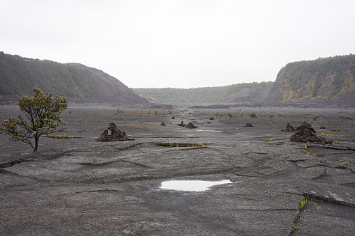 The floor of the solidified Kīlauea Iki Crater lava lake in Hawaii Volcanoes National Park on a rainy day.