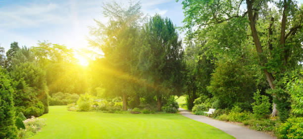 istock Bright morning sun illuminates garden with meadow 1306093679