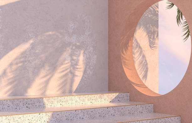 Natural beauty podium backdrop with tropical palm tree shadow.