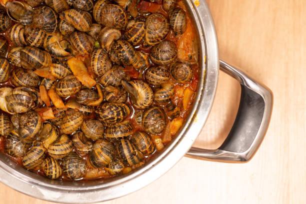 トマトソースで焼きまつぎを作った - gourmet snail food escargot ストックフォトと画像