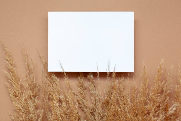 istock Mockup with empty blank paper and dried pampas grass over pastel beige background. Minimal, stylish concept. 1306102826