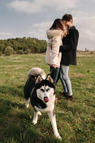 istock Young couple with a Husky dog 1306102881