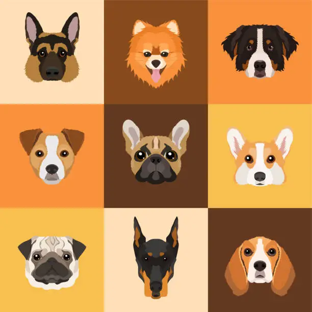 Vector illustration of Seamless vector pattern with dog breeds. Flat design in warm colors