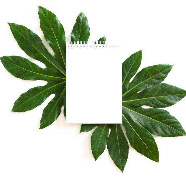 Spiral notepad mockup with frame made of green tropical leaves