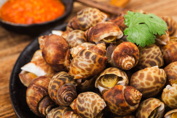 istock Babylonia areolata shellfish seafood on bowl ready for eat or cooked 1306106508