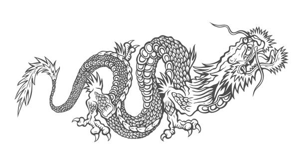 Vector illustration of a Chinese dragon. Vector illustration of a Chinese dragon. Black asian dragon. dragon tattoos stock illustrations