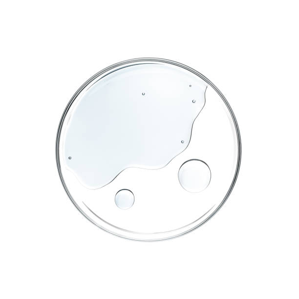 liquid in petri dish over white background - flat lay - disco de petri imagens e fotografias de stock