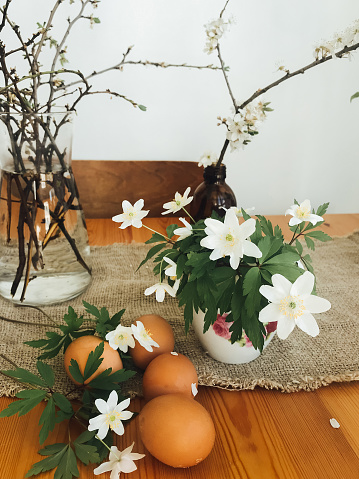 Easter eggs with spring flowers on wooden rustic table in room at home. Natural eggs, cherry blooms and anemones flowers. Hello spring and Happy Easter