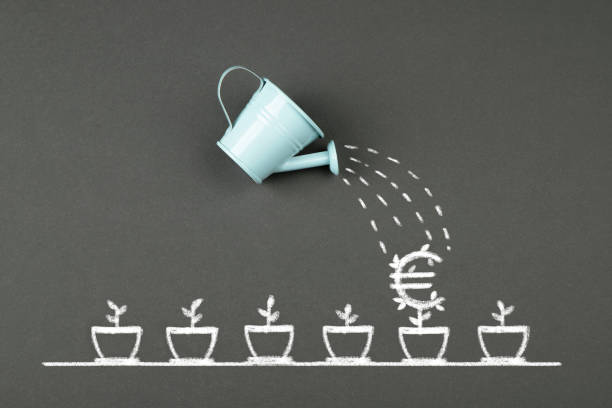 istock Watering can and Euro flower 1306116719