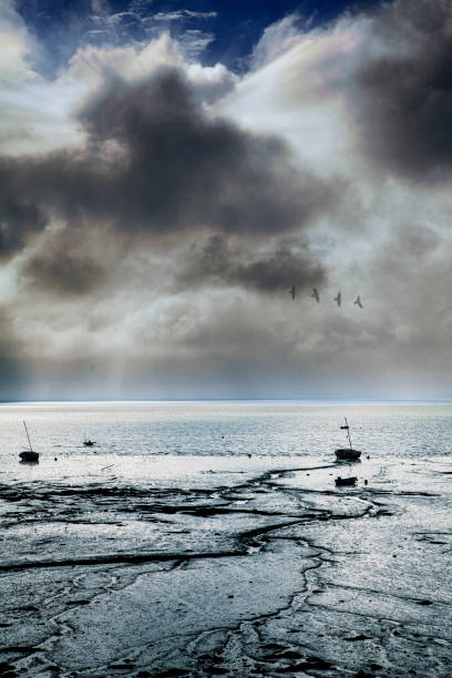 istock stormy day on the beach 1306117395