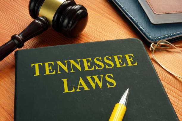 istock Tennessee state law with gavel and papers. 1306118576