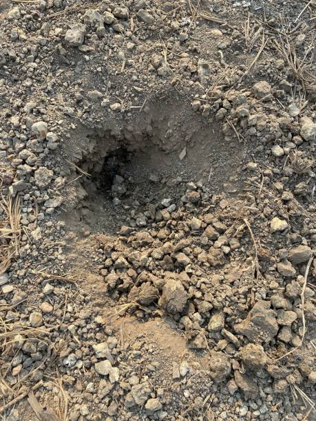 istock dry soil on the ground 1306124168