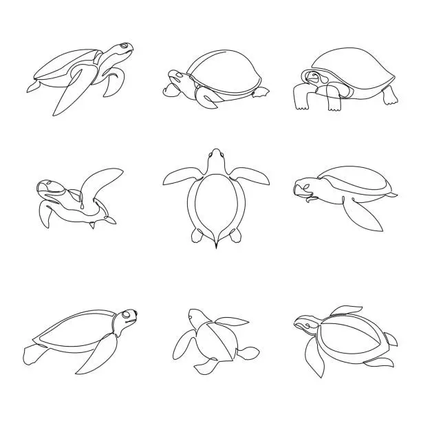 Vector illustration of Continuous line turtle set