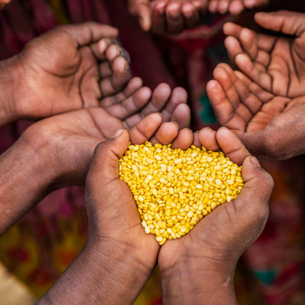 istock Hunger in Africa - hands asking for food 1306125653