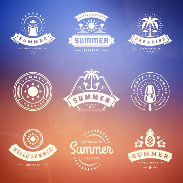 Summer holidays labels and badges retro typography design set Summer holidays labels and badges retro typography design set. Templates for greeting cards, posters and apparel design. Vector illustration. pineapple beach stock illustrations