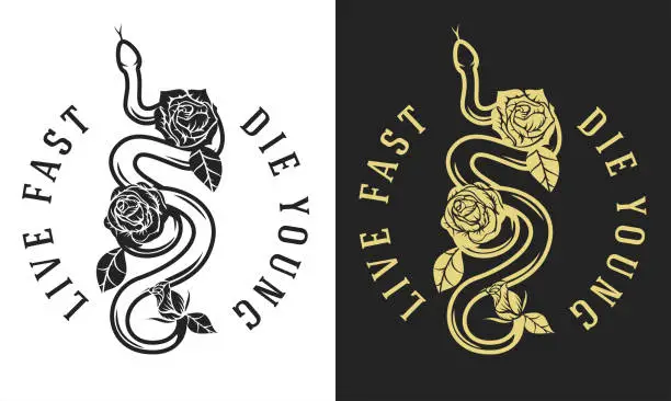 Vector illustration of Hand drawn monochrome concept with roses and poison snake in vintage style. Design composition for tattoo, print. Retro vector illustration isolated on white and black background.