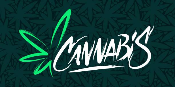 Dirty Style Abstract Hand Written Word Cannabis With Cannabis Leaf Vector Illustration Art Dirty Style Abstract Hand Written Word Cannabis With Cannabis Leaf Vector Illustration weed stamp stock illustrations