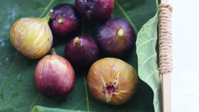 A wide variety of figs, fresh from the farm