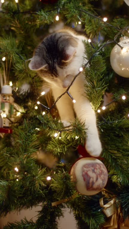Cat falling down while playing with decorated christmas tree