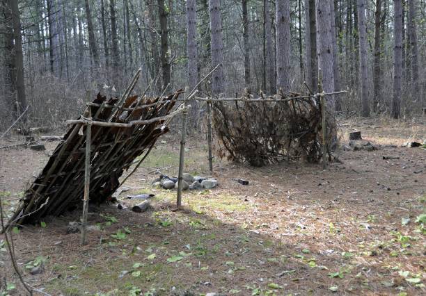 two primitive survival shelter made of branches and twigs in a clearing in the woods