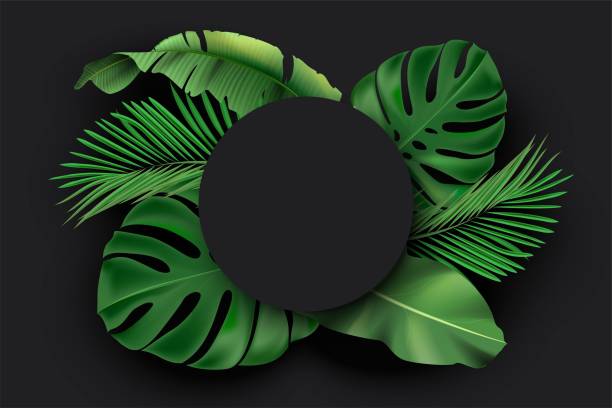 istock Black circle blank card with green exotic jungle leaves on dark background. Monstera, philodendron, fan palm, banana leaf, areca palm vector illustration. Tropic botanical elements with round poster 1306139965