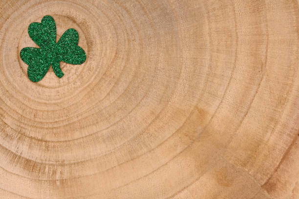 Concept of St. Patrick. green clover on wooden background, top view place for text