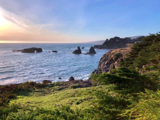 istock Sea Ranch, California 1306152496