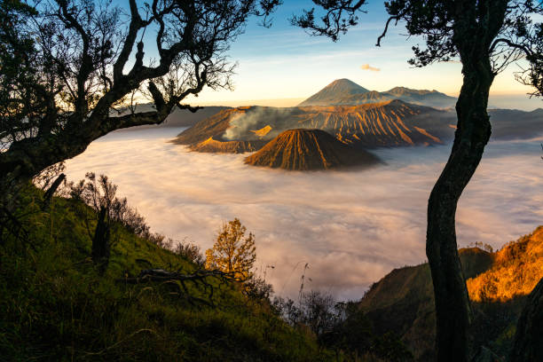 istock Bromo volcano mountain at sunrise in East Java, Indonesia surrounded by morning fog. 1306152962