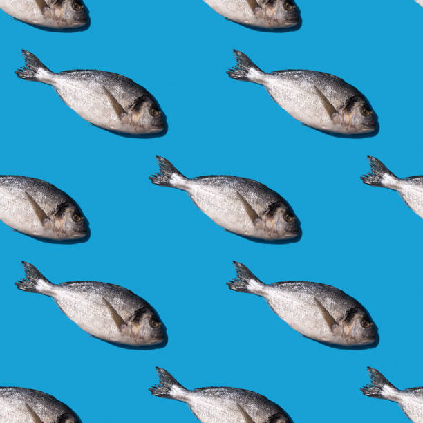 istock Seamless pattern with dorado fish on a bright blue background with hard shadows 1306153918