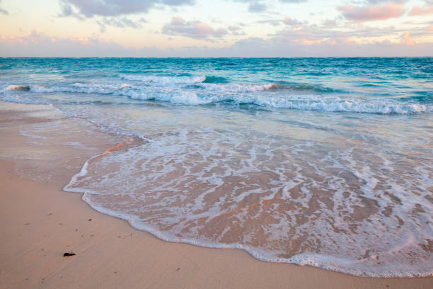istock Caribbean Sea on early morning, empty beach view 1306154615