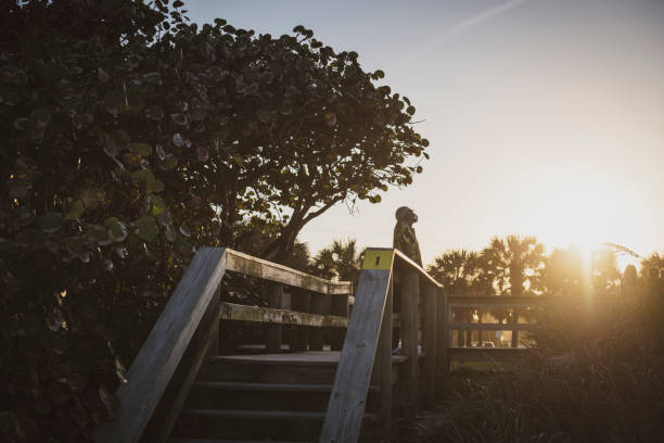 Indialantic, Florida, USA - February 27, 2021: As the sun sets, a man wearing a protective surgical mask because of the Covid-19 pandemic stands on the beach boardwalk and looks up to the sky.