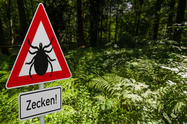 istock Caution Ticks in german Zeckenwarnung 1306159215