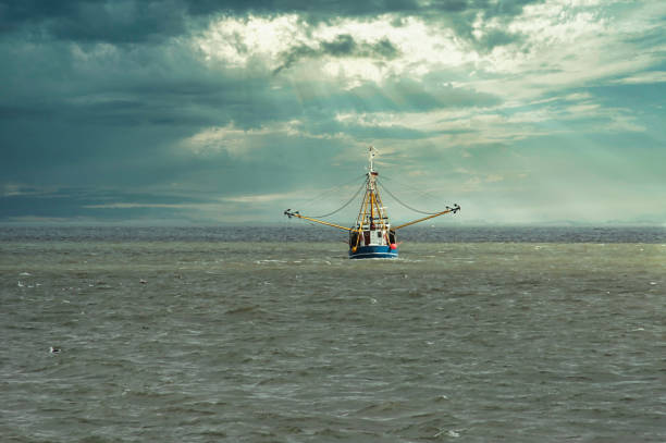 istock Trawler in atmospheric sea 1306159834
